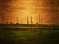 Cows&Wires 2