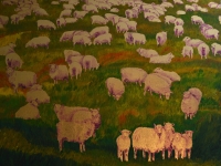 Sheep Yard