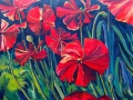 poppys-30x40